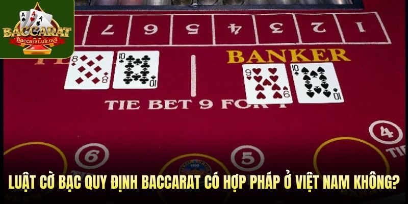 Luật cờ bạc quy định Baccarat có hợp pháp ở Việt Nam không?