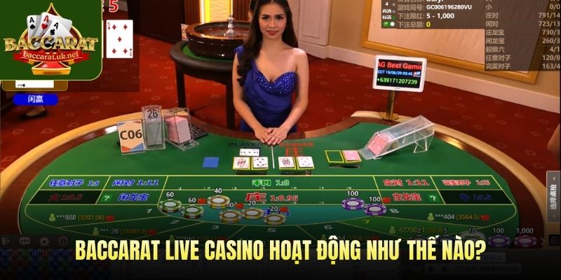 Baccarat live casino hoạt động như thế nào?