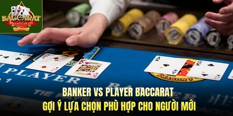 Banker vs player baccarat - Gợi ý lựa chọn phù hợp cho người mới