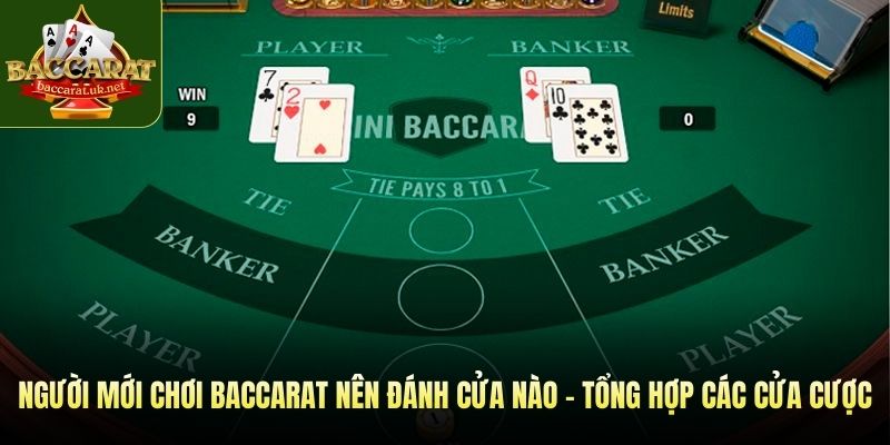 Người mới chơi baccarat nên đánh cửa nào - Tổng hợp các cửa cược